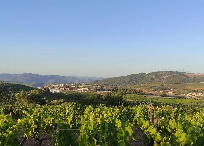 Casa Da Vovo Luisa Holiday home Quinta da Lama Redonda